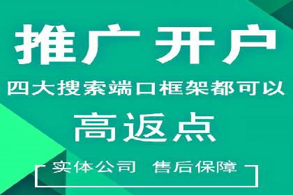 SEM搜索引擎优化：成功案例解析